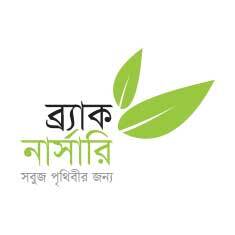 BRAC Nursery