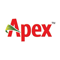 Apex